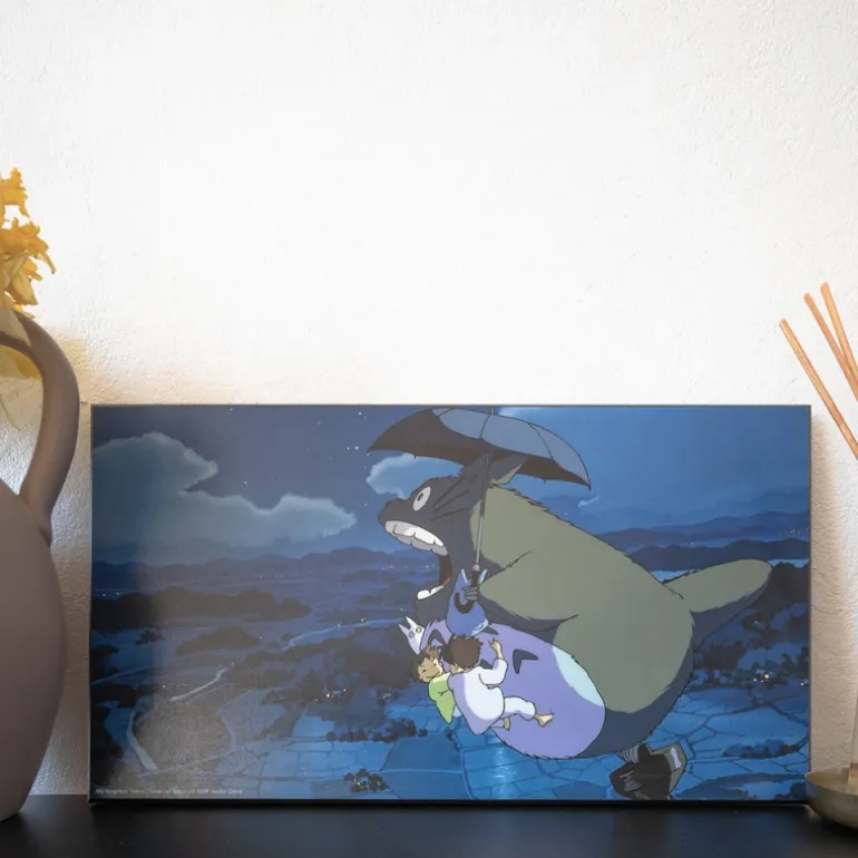 Décoration Murale>Maison Ghibli Tableau Ghibli 04 - Totoro Toupie